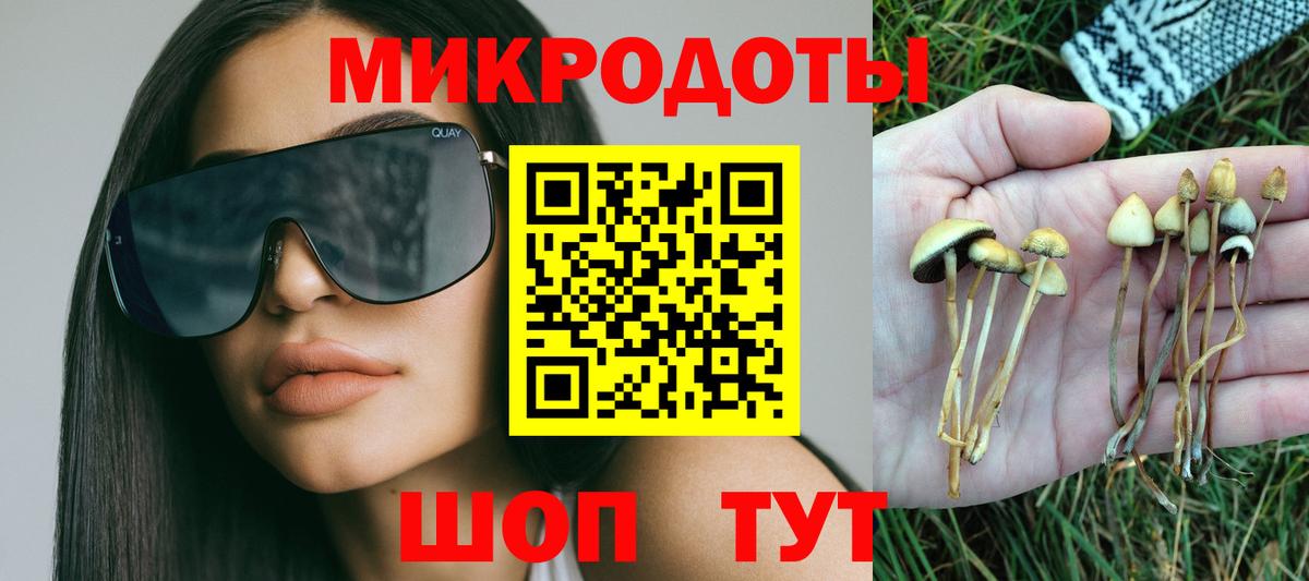 Шарыпово  Галлюциногенные грибы ЛСД  Вход с VPN 