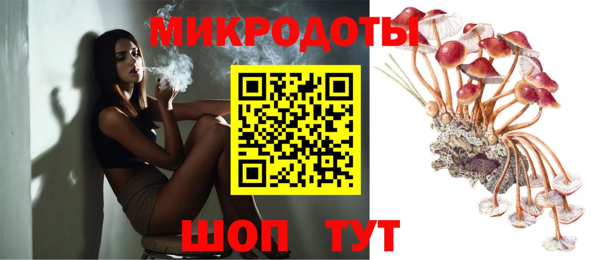 Псилоцибиновые грибы Psilocybine cubensis Шарыпово